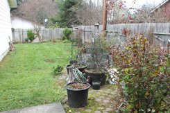 Pots and Lawn